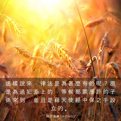 Picture 03 - 加 拉 太 書 3:19 CUVT - 這 樣 說 來 ， 律 法 是 為 甚 麼 有 - Bible Verse Picture