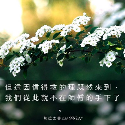 Picture 03 - 加 拉 太 書 3:25 CUVT - 但 這 因 信 得 救 的 理 既 然 來 到 - Bible Verse Picture