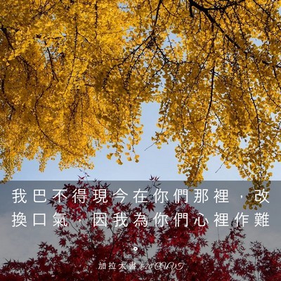 Picture 03 - 加 拉 太 書 4:20 CUVT - 我 巴 不 得 現 今 在 你 們 那 裡 ， - Bible Verse Picture