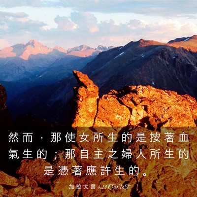 Picture 03 - 加 拉 太 書 4:23 CUVT - 然 而 ， 那 使 女 所 生 的 是 按 著 - Bible Verse Picture