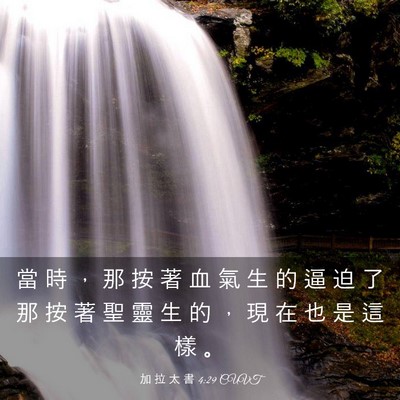 Picture 03 - 加 拉 太 書 4:29 CUVT - 當 時 ， 那 按 著 血 氣 生 的 逼 迫 - Bible Verse Picture