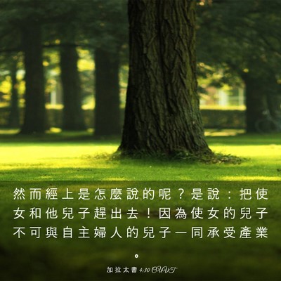 Picture 03 - 加 拉 太 書 4:30 CUVT - 然 而 經 上 是 怎 麼 說 的 呢 ？ 是 - Bible Verse Picture