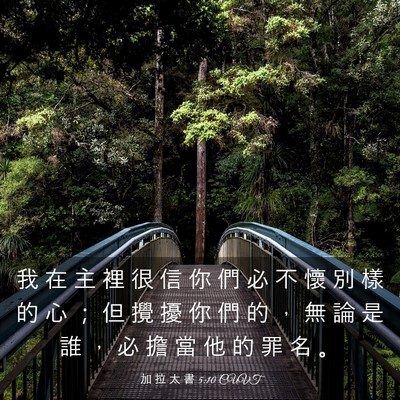 Picture 03 - 加 拉 太 書 5:10 CUVT - 我 在 主 裡 很 信 你 們 必 不 懷 別 - Bible Verse Picture