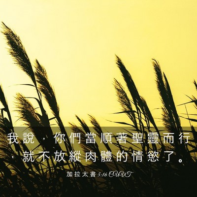 Picture 03 - 加 拉 太 書 5:16 CUVT - 我 說 ， 你 們 當 順 著 聖 靈 而 行 - Bible Verse Picture