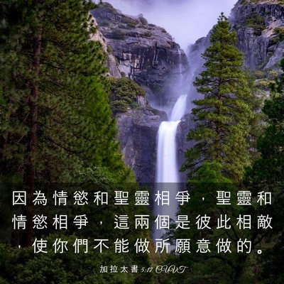 Picture 03 - 加 拉 太 書 5:17 CUVT - 因 為 情 慾 和 聖 靈 相 爭 ， 聖 靈 - Bible Verse Picture