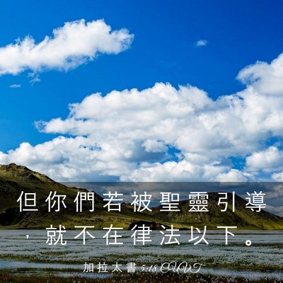 Picture 03 - 加 拉 太 書 5:18 CUVT - 但 你 們 若 被 聖 靈 引 導 ， 就 不 - Bible Verse Picture