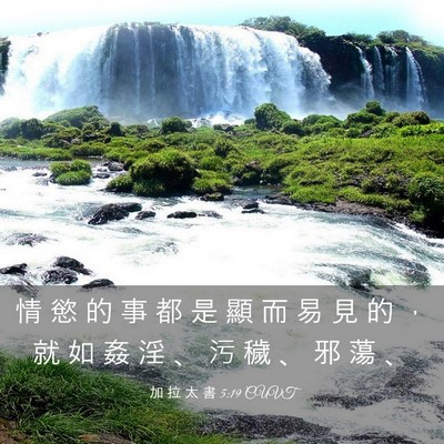 Picture 03 - 加 拉 太 書 5:19 CUVT - 情 慾 的 事 都 是 顯 而 易 見 的 ， - Bible Verse Picture