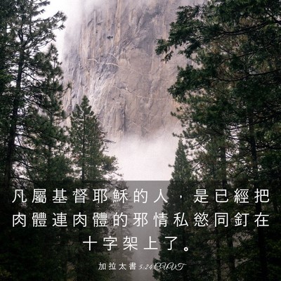 Picture 03 - 加 拉 太 書 5:24 CUVT - 凡 屬 基 督 耶 穌 的 人 ， 是 已 經 - Bible Verse Picture