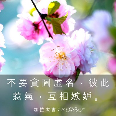 Picture 03 - 加 拉 太 書 5:26 CUVT - 不 要 貪 圖 虛 名 ， 彼 此 惹 氣 ， - Bible Verse Picture