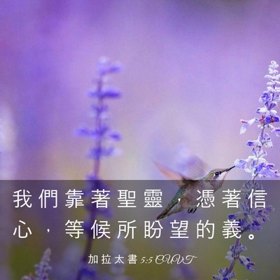 Picture 03 - 加 拉 太 書 5:5 CUVT - 我 們 靠 著 聖 靈 ， 憑 著 信 心 ， - Bible Verse Picture