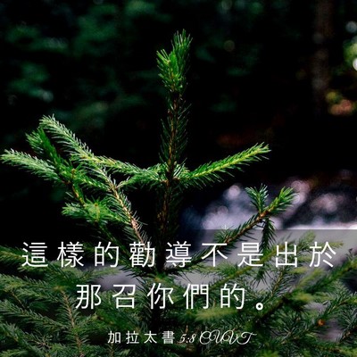 Picture 03 - 加 拉 太 書 5:8 CUVT - 這 樣 的 勸 導 不 是 出 於 那 召 你 - Bible Verse Picture