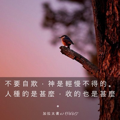 Picture 03 - 加 拉 太 書 6:7 CUVT - 不 要 自 欺 ， 神 是 輕 慢 不 得 的 - Bible Verse Picture