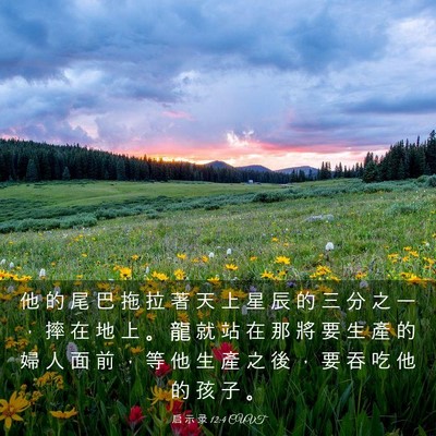 Picture 03 - 启 示 录 12:4 CUVT - 他 的 尾 巴 拖 拉 著 天 上 星 辰 的 - Bible Verse Picture