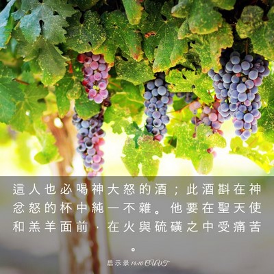 Picture 03 - 启 示 录 14:10 CUVT - 這 人 也 必 喝 神 大 怒 的 酒 ； 此 - Bible Verse Picture