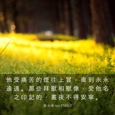 Picture 03 - 启 示 录 14:11 CUVT - 他 受 痛 苦 的 煙 往 上 冒 ， 直 到 - Bible Verse Picture