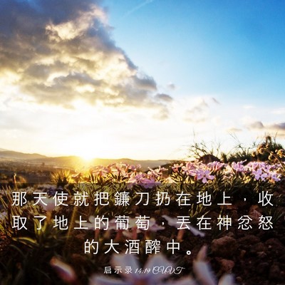 Picture 03 - 启 示 录 14:19 CUVT - 那 天 使 就 把 鐮 刀 扔 在 地 上 ， - Bible Verse Picture