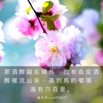 Picture 03 - 启 示 录 14:20 CUVT - 那 酒 醡 踹 在 城 外 ， 就 有 血 從 - Bible Verse Picture