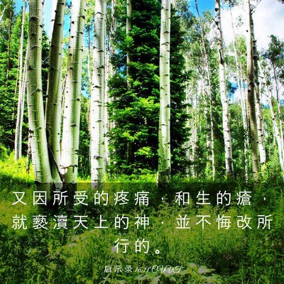 Picture 03 - 启 示 录 16:11 CUVT - 又 因 所 受 的 疼 痛 ， 和 生 的 瘡 - Bible Verse Picture