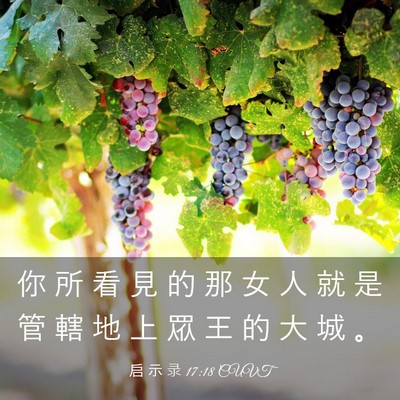 Picture 03 - 启 示 录 17:18 CUVT - 你 所 看 見 的 那 女 人 就 是 管 轄 - Bible Verse Picture