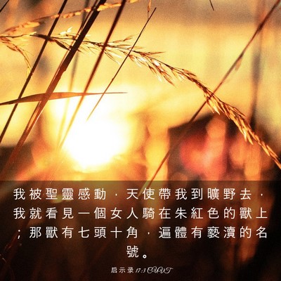 Picture 03 - 启 示 录 17:3 CUVT - 我 被 聖 靈 感 動 ， 天 使 帶 我 到 - Bible Verse Picture