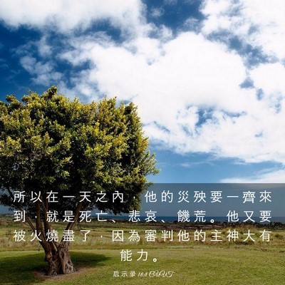 Picture 03 - 启 示 录 18:8 CUVT - 所 以 在 一 天 之 內 ， 他 的 災 殃 - Bible Verse Picture