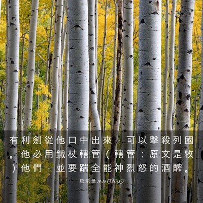 Picture 03 - 启 示 录 19:15 CUVT - 有 利 劍 從 他 口 中 出 來 ， 可 以 - Bible Verse Picture