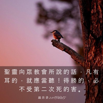 Picture 03 - 启 示 录 2:11 CUVT - 聖 靈 向 眾 教 會 所 說 的 話 ， 凡 - Bible Verse Picture