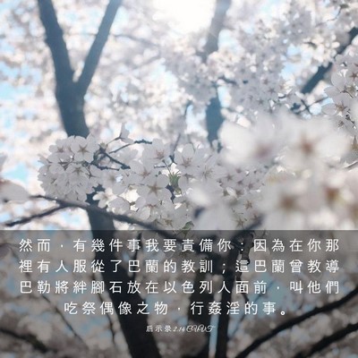 Picture 03 - 启 示 录 2:14 CUVT - 然 而 ， 有 幾 件 事 我 要 責 備 你 - Bible Verse Picture