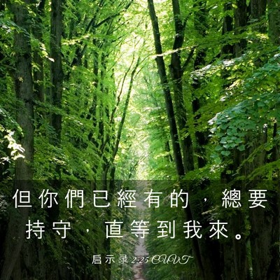 Picture 03 - 启 示 录 2:25 CUVT - 但 你 們 已 經 有 的 ， 總 要 持 守 - Bible Verse Picture