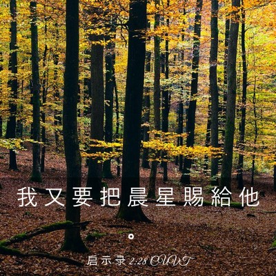 Picture 03 - 启 示 录 2:28 CUVT - 我 又 要 把 晨 星 賜 給 他 - Bible Verse Picture