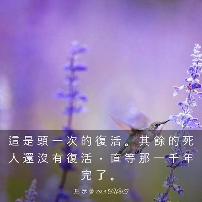 Picture 03 - 启 示 录 20:5 CUVT - 這 是 頭 一 次 的 復 活 。 其 餘 的 - Bible Verse Picture