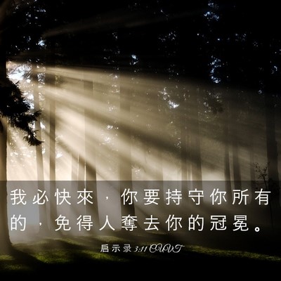 Picture 03 - 启 示 录 3:11 CUVT - 我 必 快 來 ， 你 要 持 守 你 所 有 - Bible Verse Picture