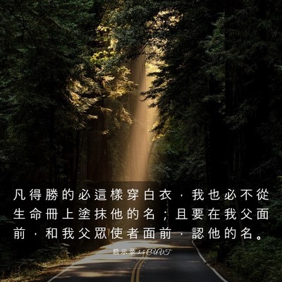 Picture 03 - 启 示 录 3:5 CUVT - 凡 得 勝 的 必 這 樣 穿 白 衣 ， 我 - Bible Verse Picture