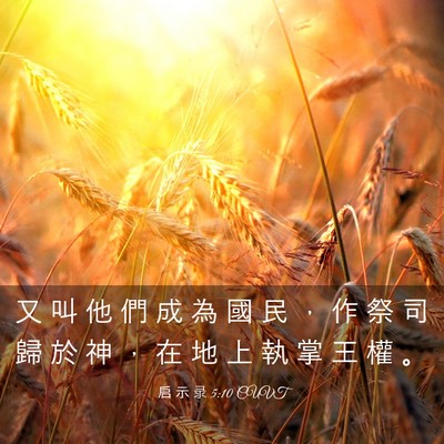Picture 03 - 启 示 录 5:10 CUVT - 又 叫 他 們 成 為 國 民 ， 作 祭 司 - Bible Verse Picture