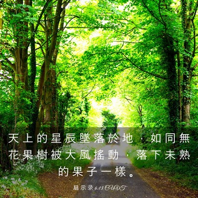 Picture 03 - 启 示 录 6:13 CUVT - 天 上 的 星 辰 墜 落 於 地 ， 如 同 - Bible Verse Picture