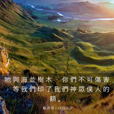 Picture 03 - 启 示 录 7:3 CUVT - 地 與 海 並 樹 木 ， 你 們 不 可 傷 - Bible Verse Picture