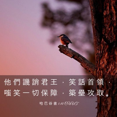 Picture 03 - 哈 巴 谷 書 1:10 CUVT - 他 們 譏 誚 君 王 ， 笑 話 首 領 ， - Bible Verse Picture