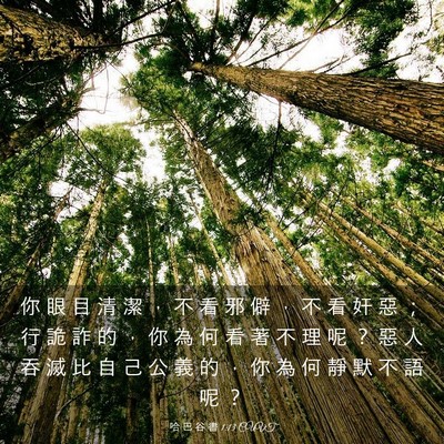 Picture 03 - 哈 巴 谷 書 1:13 CUVT - 你 眼 目 清 潔 ， 不 看 邪 僻 ， 不 - Bible Verse Picture