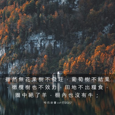 Picture 03 - 哈 巴 谷 書 3:17 CUVT - 雖 然 無 花 果 樹 不 發 旺 ， 葡 萄 - Bible Verse Picture