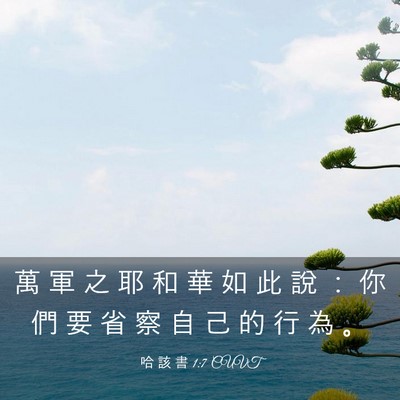 Picture 03 - 哈 該 書 1:7 CUVT - 萬 軍 之 耶 和 華 如 此 說 ： 你 們 - Bible Verse Picture