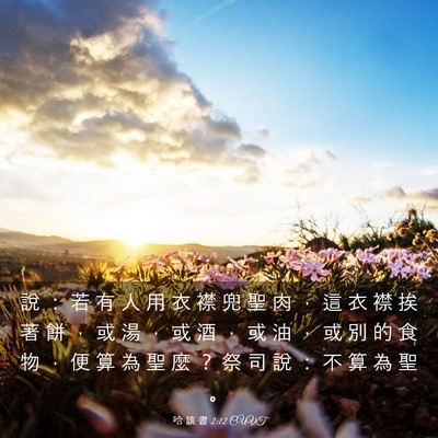 Picture 03 - 哈 該 書 2:12 CUVT - 說 ： 若 有 人 用 衣 襟 兜 聖 肉 ， - Bible Verse Picture