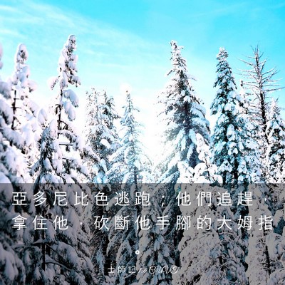 Picture 03 - 士 師 記 1:6 CUVT - 亞 多 尼 比 色 逃 跑 ； 他 們 追 趕 - Bible Verse Picture