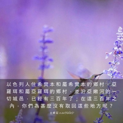 Picture 03 - 士 師 記 11:26 CUVT - 以 色 列 人 住 希 實 本 和 屬 希 實 - Bible Verse Picture