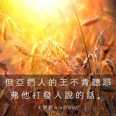 Picture 03 - 士 師 記 11:28 CUVT - 但 亞 捫 人 的 王 不 肯 聽 耶 弗 他 - Bible Verse Picture