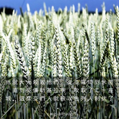 Picture 03 - 士 師 記 11:33 CUVT - 他 就 大 大 殺 敗 他 們 ， 從 亞 羅 - Bible Verse Picture