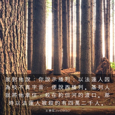Picture 03 - 士 師 記 12:6 CUVT - 就 對 他 說 ： 你 說 示 播 列 ； 以 - Bible Verse Picture