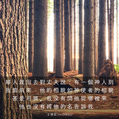 Picture 03 - 士 師 記 13:6 CUVT - 婦 人 就 回 去 對 丈 夫 說 ： 有 一 - Bible Verse Picture