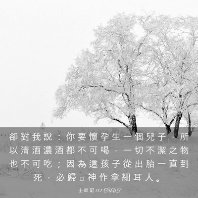 Picture 03 - 士 師 記 13:7 CUVT - 卻 對 我 說 ： 你 要 懷 孕 生 一 個 - Bible Verse Picture