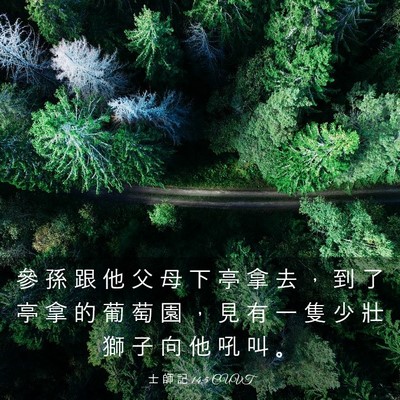 Picture 03 - 士 師 記 14:5 CUVT - 參 孫 跟 他 父 母 下 亭 拿 去 ， 到 - Bible Verse Picture