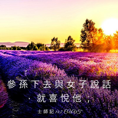Picture 03 - 士 師 記 14:7 CUVT - 參 孫 下 去 與 女 子 說 話 ， 就 喜 - Bible Verse Picture